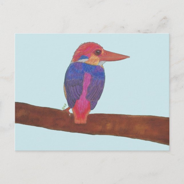 POSTAL FESTIVA ORIENTAL DWARF KINGFISHER (Anverso)