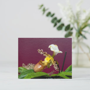 Postal Festiva Orquídea zapatilla de Venus