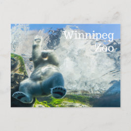 Postal Festiva Osos polares en el parque zoológico de Winnipeg