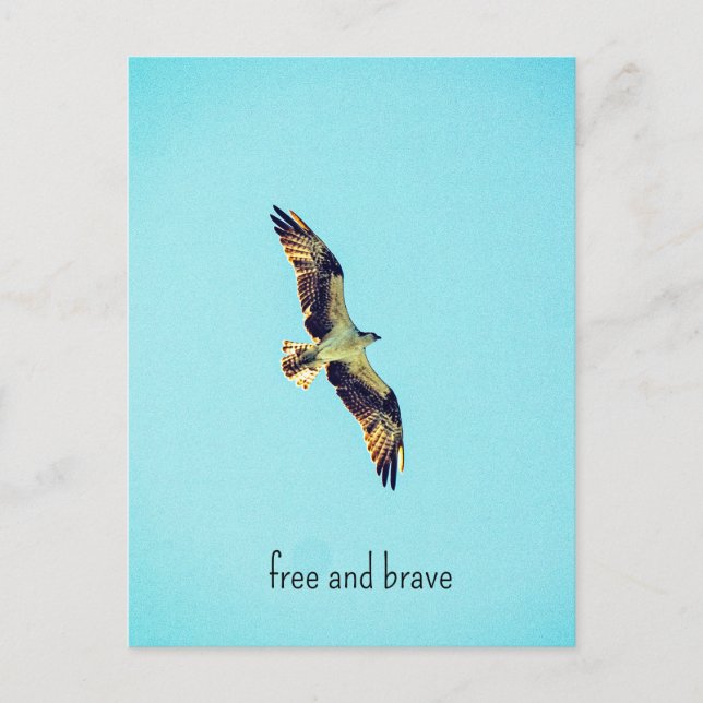 Postal Festiva Osprey art (Anverso)