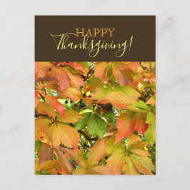 Postal Festiva Otoño de vid salvaje hojas Feliz Día de Acción de 