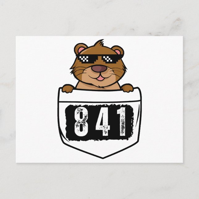 Postal Festiva Otter 841 (Anverso)