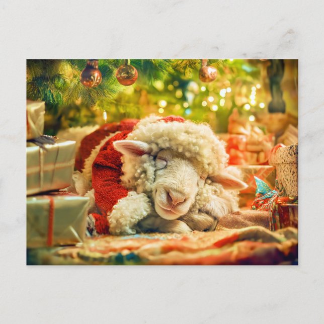 Postal Festiva Ovejas durmiendo bajo las luces de los árboles de  (Anverso)