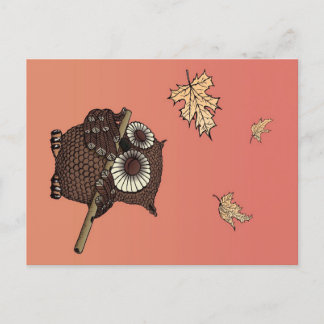 Postal Festiva Owl Animals Art | An Owl On Old Paper