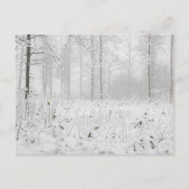 Postal Festiva Paisaje de los bosques de invierno con árboles de 