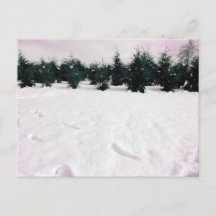 Paisaje invernal con alerces en la nieve festiva