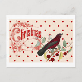 Postal Festiva Pájaro de los Navidades rojos