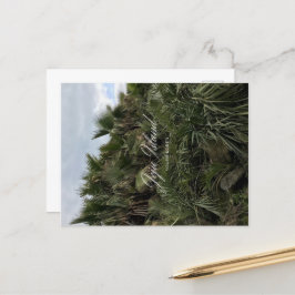 Postal Festiva Palm Tree - Jeju - Isla Jeju - Corea del Sur