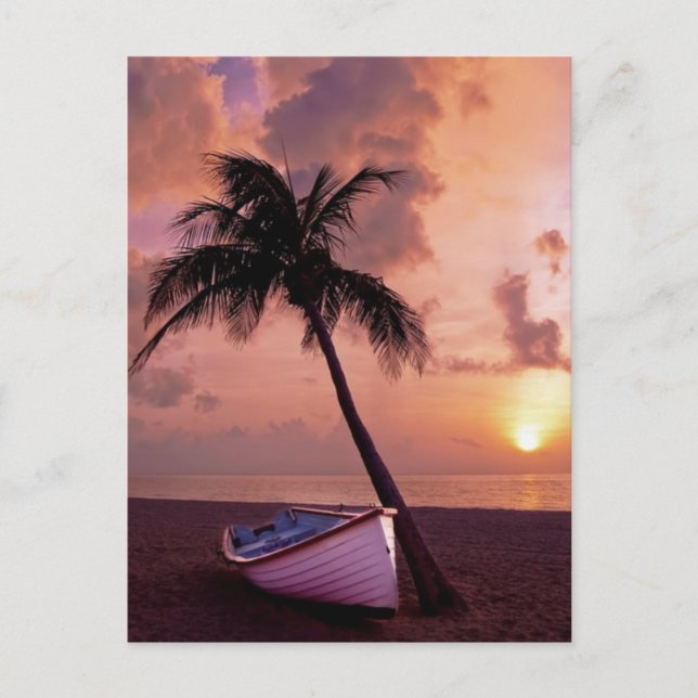 Postal Festiva Palm Tree y Bote Beach Sunset (Anverso)