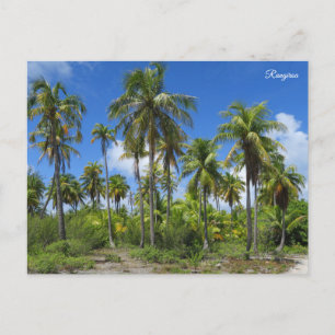 Postal Festiva palmeras de Rangiroa