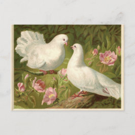 Postal Festiva Palomas del blanco de Pascua del vintage