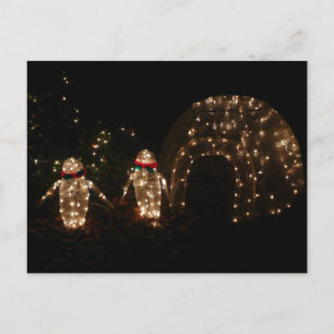 Postal Festiva Pantalla de luz de feriado de pingüinos