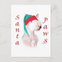 Papas de Santa Paws en reposo chino