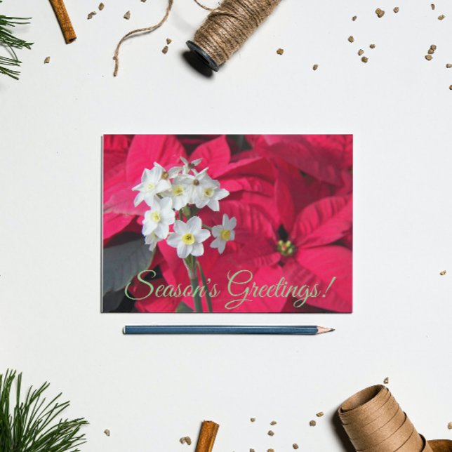 Postal Festiva Paperwhites y Poinsettia Rojo Floral (In Situ)