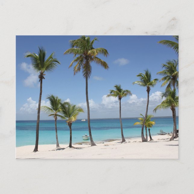 Postal Festiva Paraíso de verano (Anverso)