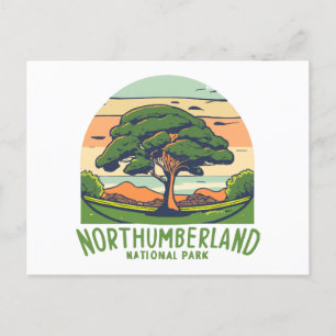 Postal Festiva Parque nacional Northumberland Sycamore Gap Tree E