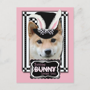 Postal Festiva Pascua - algún conejito le ama - Shiba Inu