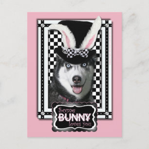 Postal Festiva Pascua - Algunos conejitos te aman - Husky