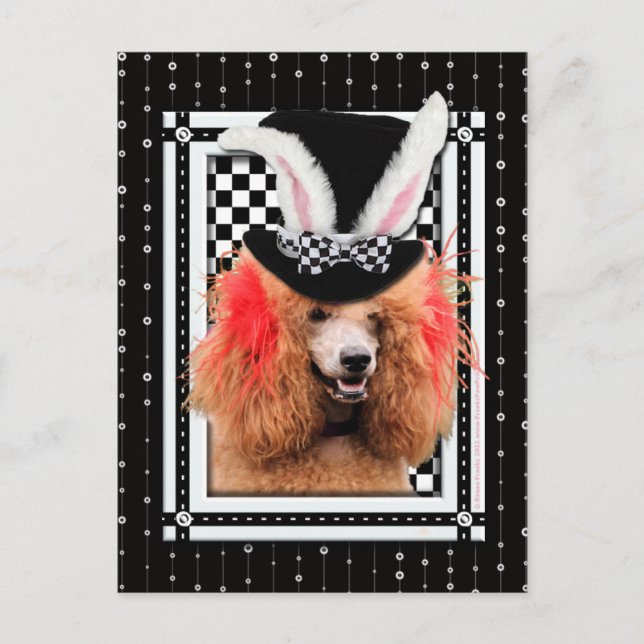 Postal Festiva Pascua - Algunos conejitos te aman - Poodle - Rojo (Anverso)