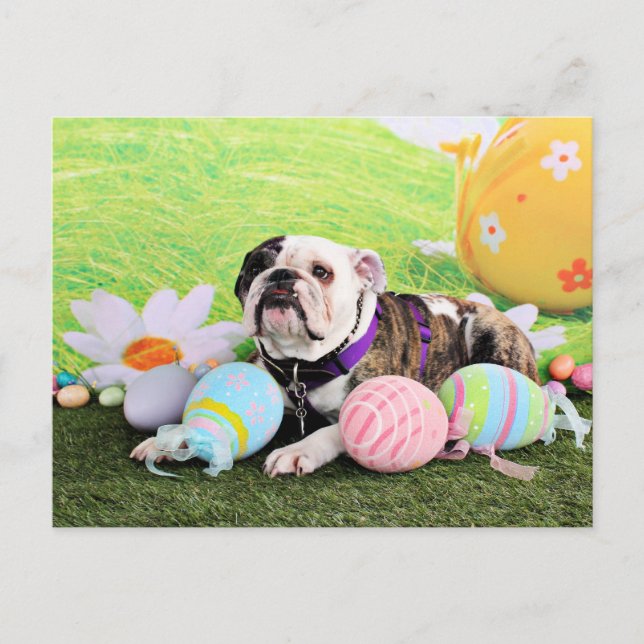 Postal Festiva Pascua - Bulldog - Delilah (Anverso)