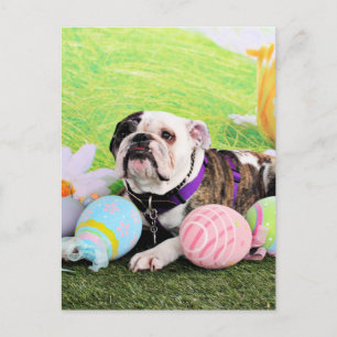 Postal Festiva Pascua - Bulldog - Delilah