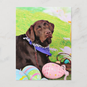 Postal Festiva Pascua - chocolate Labrador - Hershey