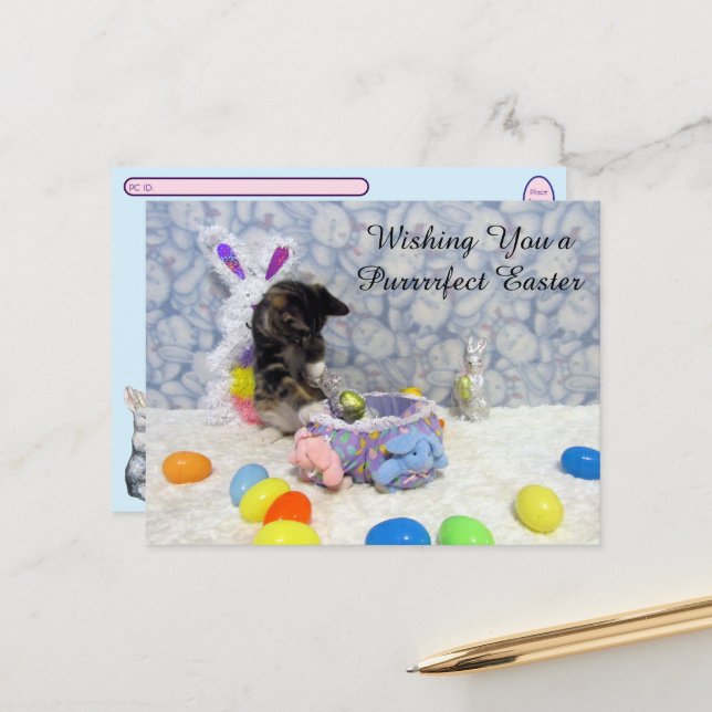 Postal Festiva Pascua de Bandit - Pascua gata / gatito (Anverso/Reverso In Situ)