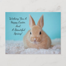 Postal Festiva Pascua de conejo