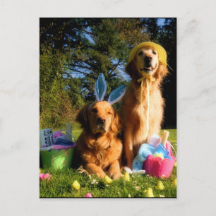 Postal Festiva Pascua de Oro