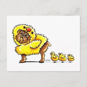 Postal Festiva Pascua de pollo de Griffon de Bruselas