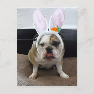 Postal Festiva Pascua feliz