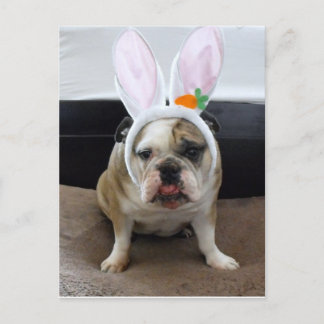 Postal Festiva Pascua feliz