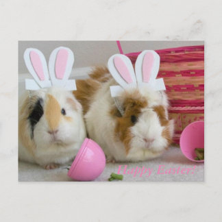 Postal Festiva Pascua feliz