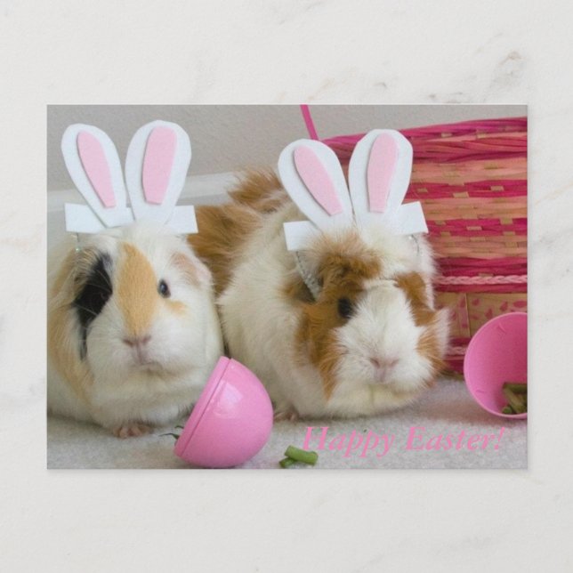 Postal Festiva Pascua feliz (Anverso)