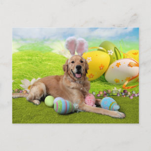 Postal Festiva Pascua - Golden Retriever - Frank
