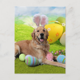 Postal Festiva Pascua - Golden Retriever - Frank