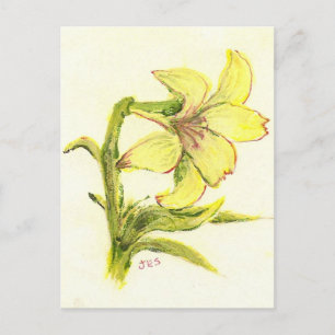 Postal Festiva Pascua Lilly de la mamá