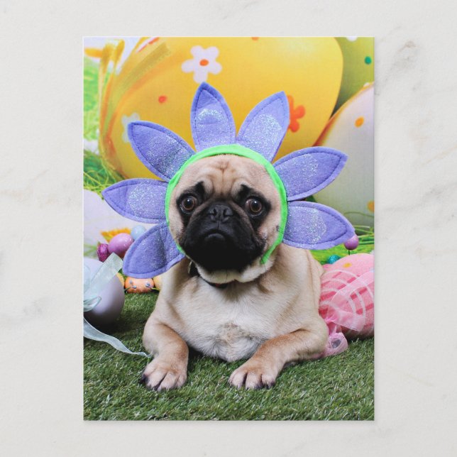 Postal Festiva Pascua - Pug - Louie (Anverso)