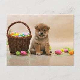 Postal Festiva Pascua Shiba Inu