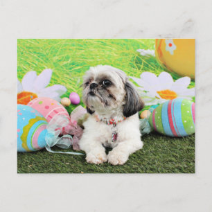 Postal Festiva Pascua - Shih Tzu - Sophie