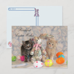 Postal Festiva Paso posterior - Gato de Pascua de Patton y Buffin