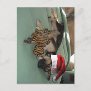 Postal Festiva Pastor alemán con Santa Hat