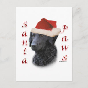 Postal Festiva Patas Rizado-Revestidas de Santa del perro