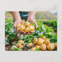 Postal Festiva Patatas para bebés frescas en el jardín