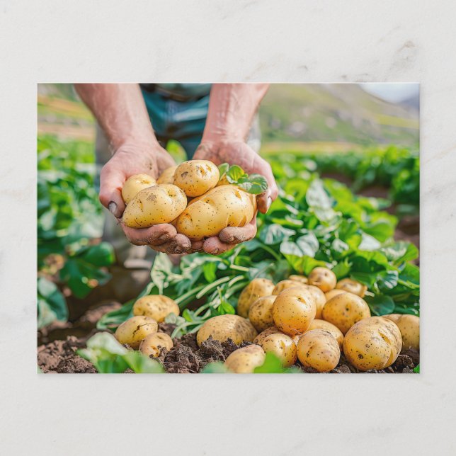 Postal Festiva Patatas para bebés frescas en el jardín (Anverso)