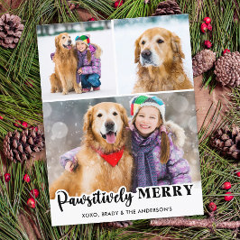 Postal Festiva Patéticamente Merry Personalizado 3 Photo Dog Love
