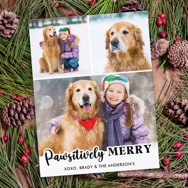 Postal Festiva Patéticamente Merry Personalizado 3 Photo Dog Love (Subido por el creador)