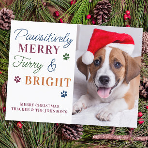Postal Festiva Patéticamente Merry Personalizado Mascota foto Fur