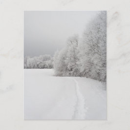 Postal Festiva Path in snowy landscape, New Year Holiday Postcard