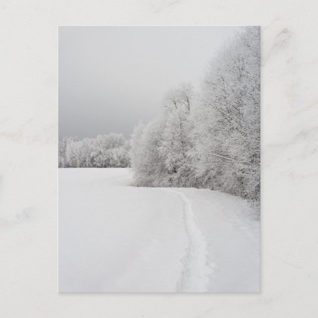 Postal Festiva Path in snowy landscape, New Year Holiday Postcard (Anverso)
